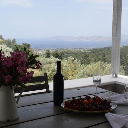 Παραδοσιακό Σπίτι Villa Asfendiou Exterior photo